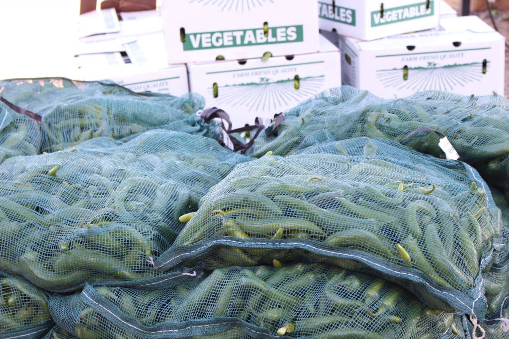 Brighton Chile Fest (formerly Denver Chili Fest) Brighton Chile Fest